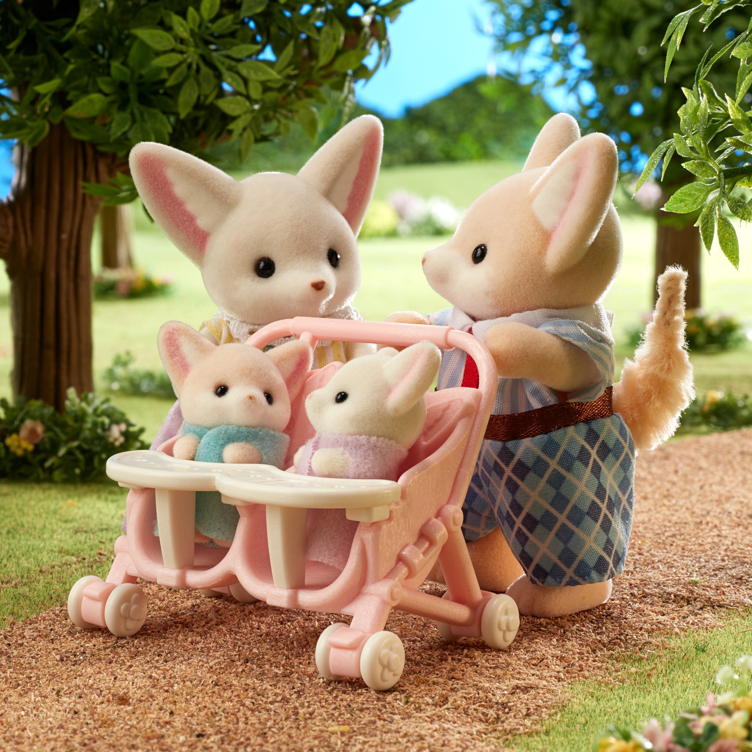 Familia de Raposa do Deserto 5