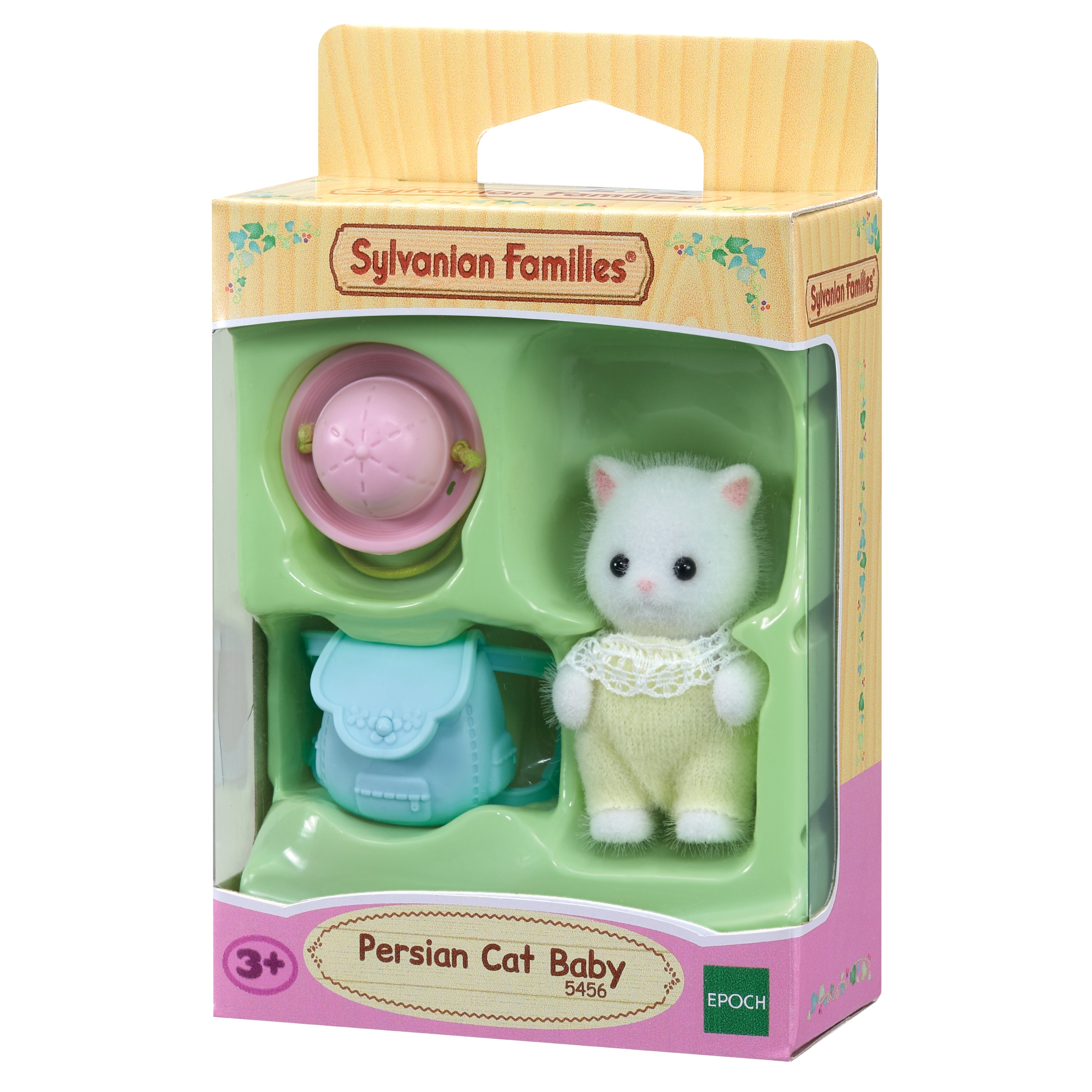 Bebé Gato Persa 3
