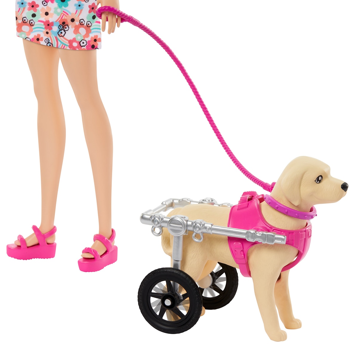 Barbie Paseadora de perro con silla de ruedas 5