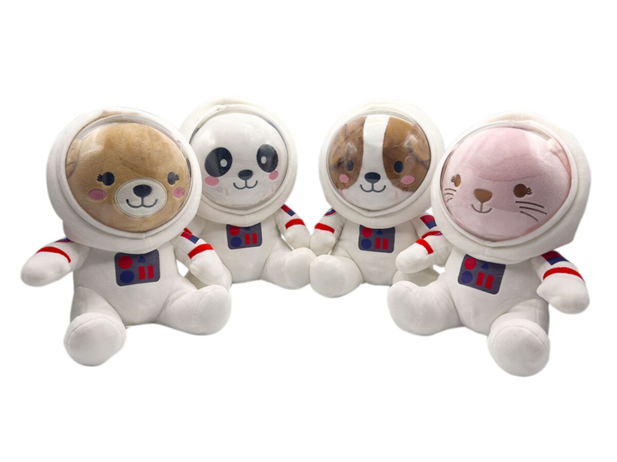 Gato Astronauta Birip Birip 7