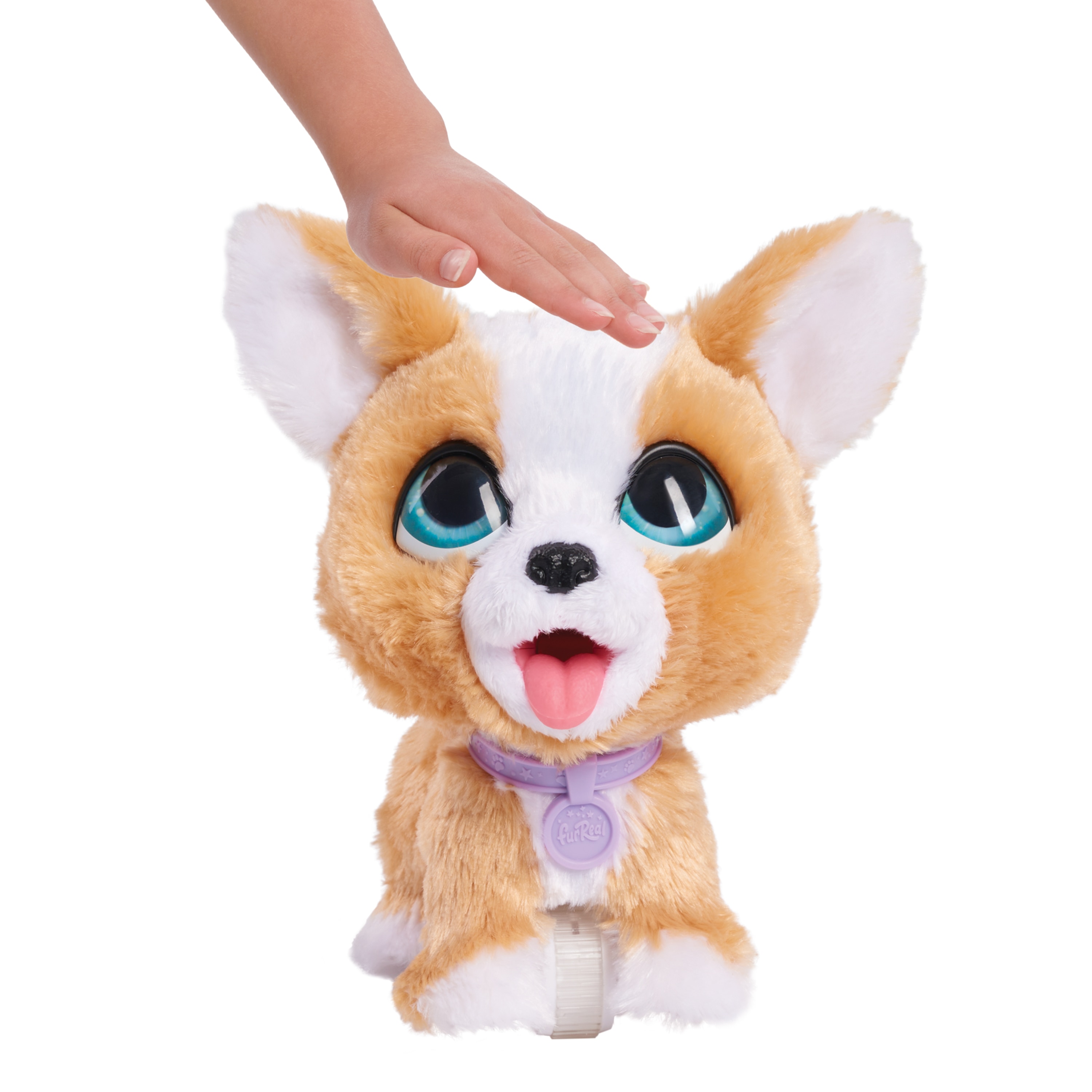 Peluche interactivo FurReal Corgi Poopalots 5