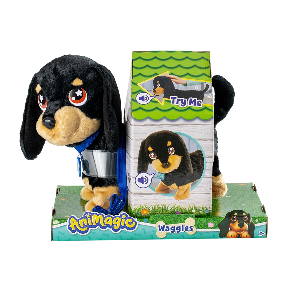 Waggles, mi perrito salchicha que mueve  la colita y ladra 2