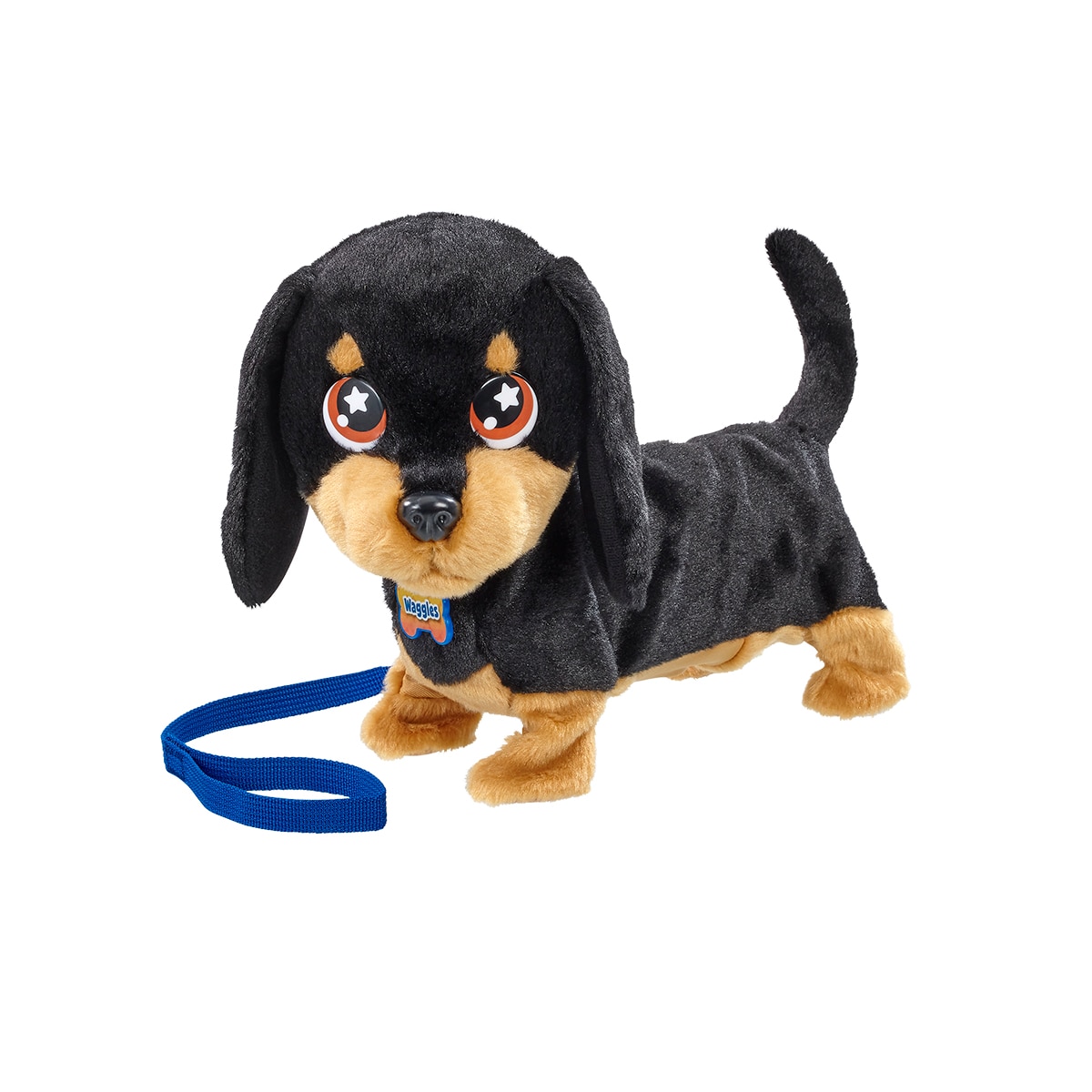 Waggles, mi perrito salchicha que mueve  la colita y ladra 4