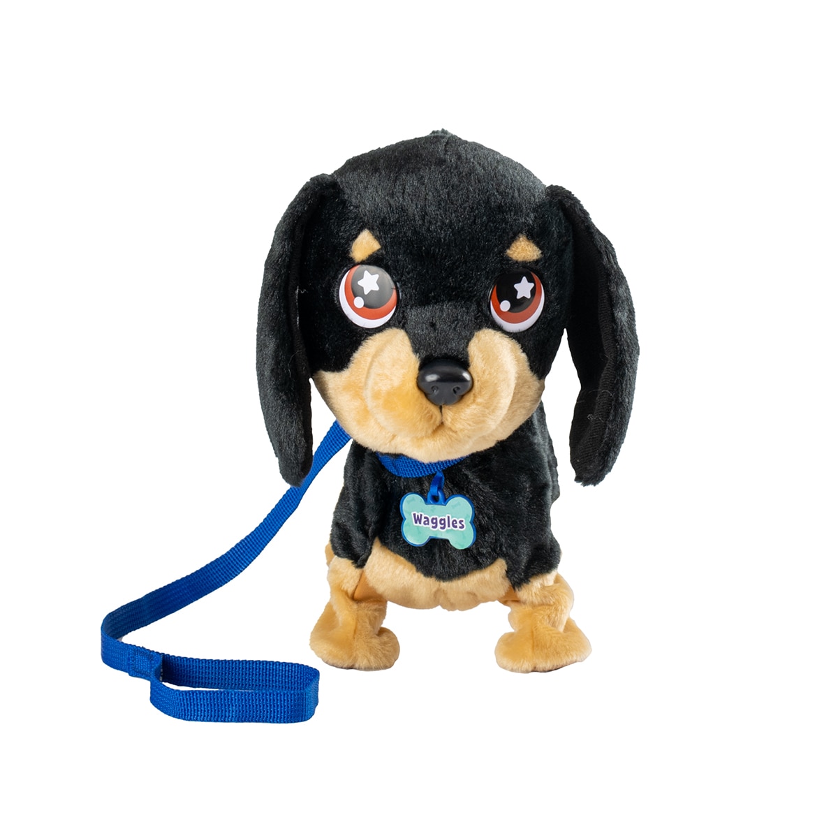 Waggles, mi perrito salchicha que mueve  la colita y ladra 6