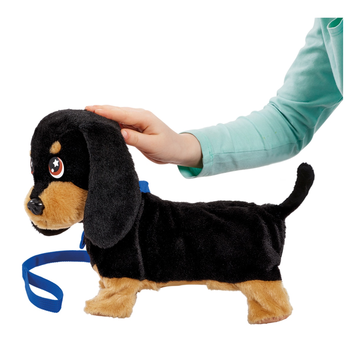 Waggles, mi perrito salchicha que mueve  la colita y ladra 7