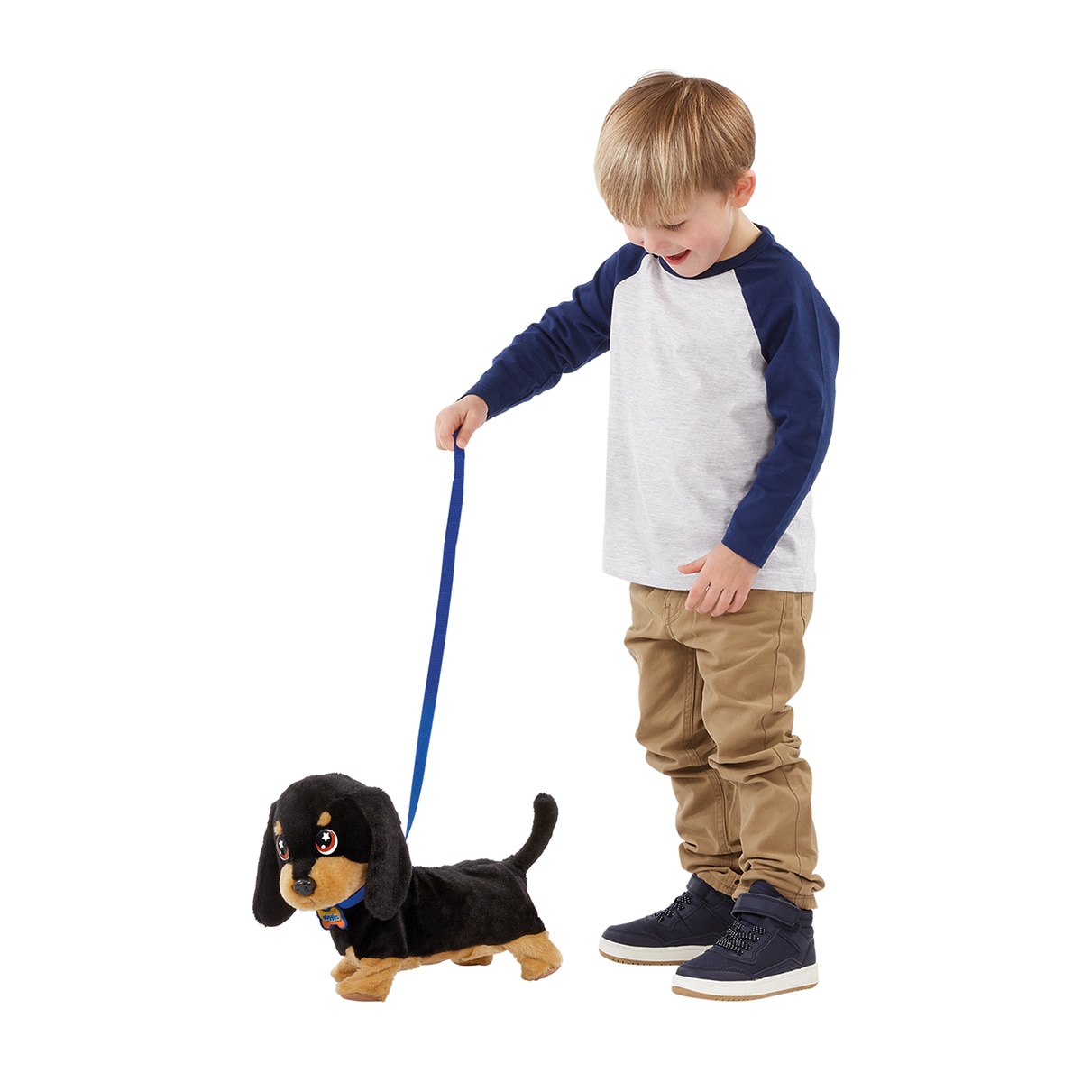 Waggles, mi perrito salchicha que mueve  la colita y ladra 11