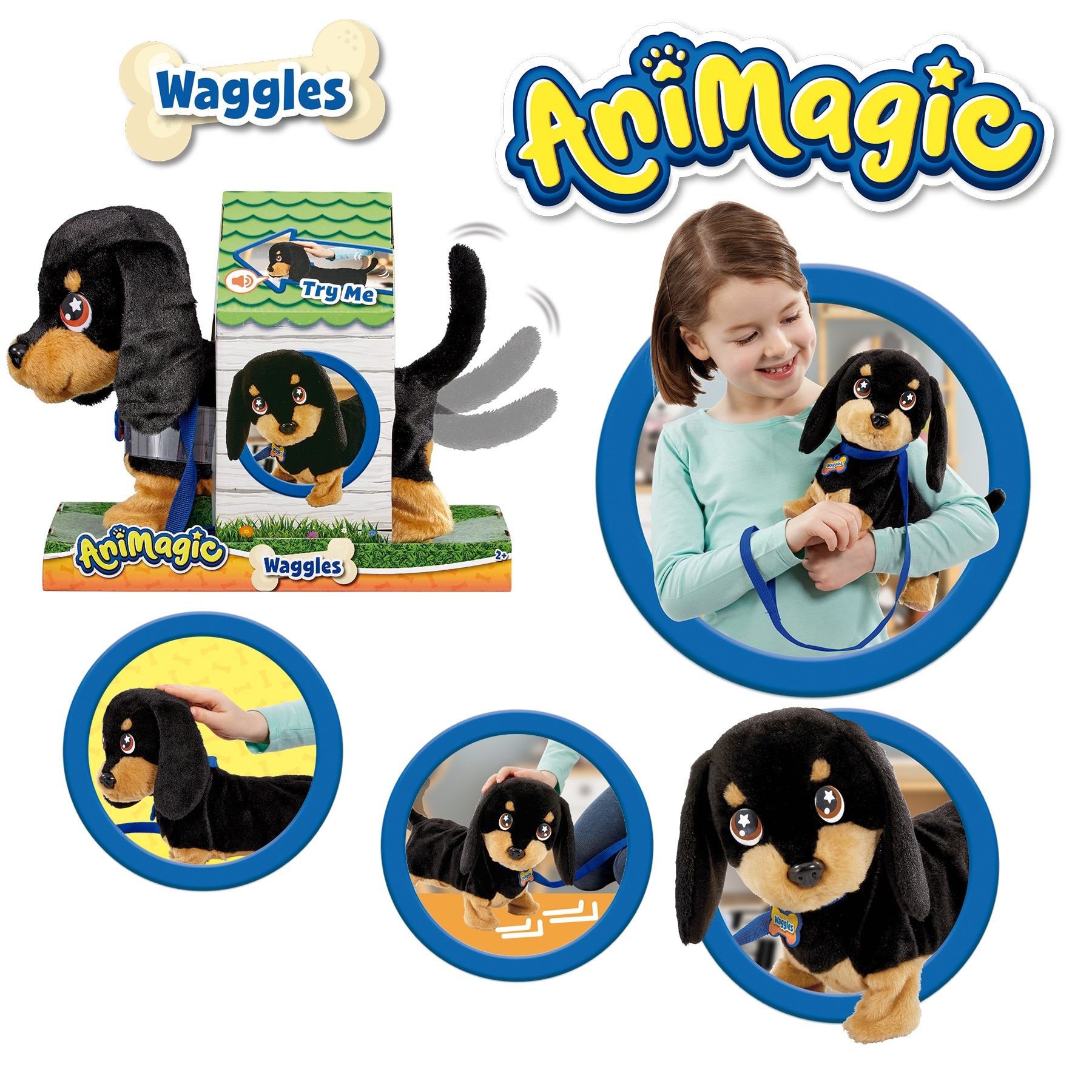 Waggles, mi perrito salchicha que mueve  la colita y ladra 18