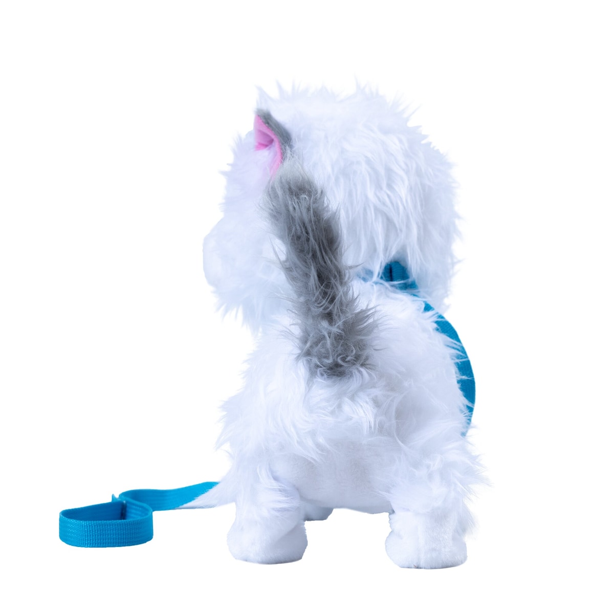 Mimi mimitos, una gatita que mueve su larga cola y maulla 6