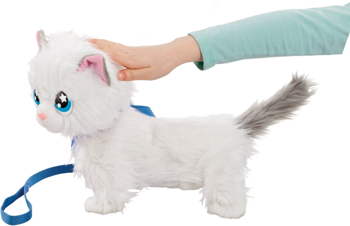 Mimi mimitos, una gatita que mueve su larga cola y maulla 9