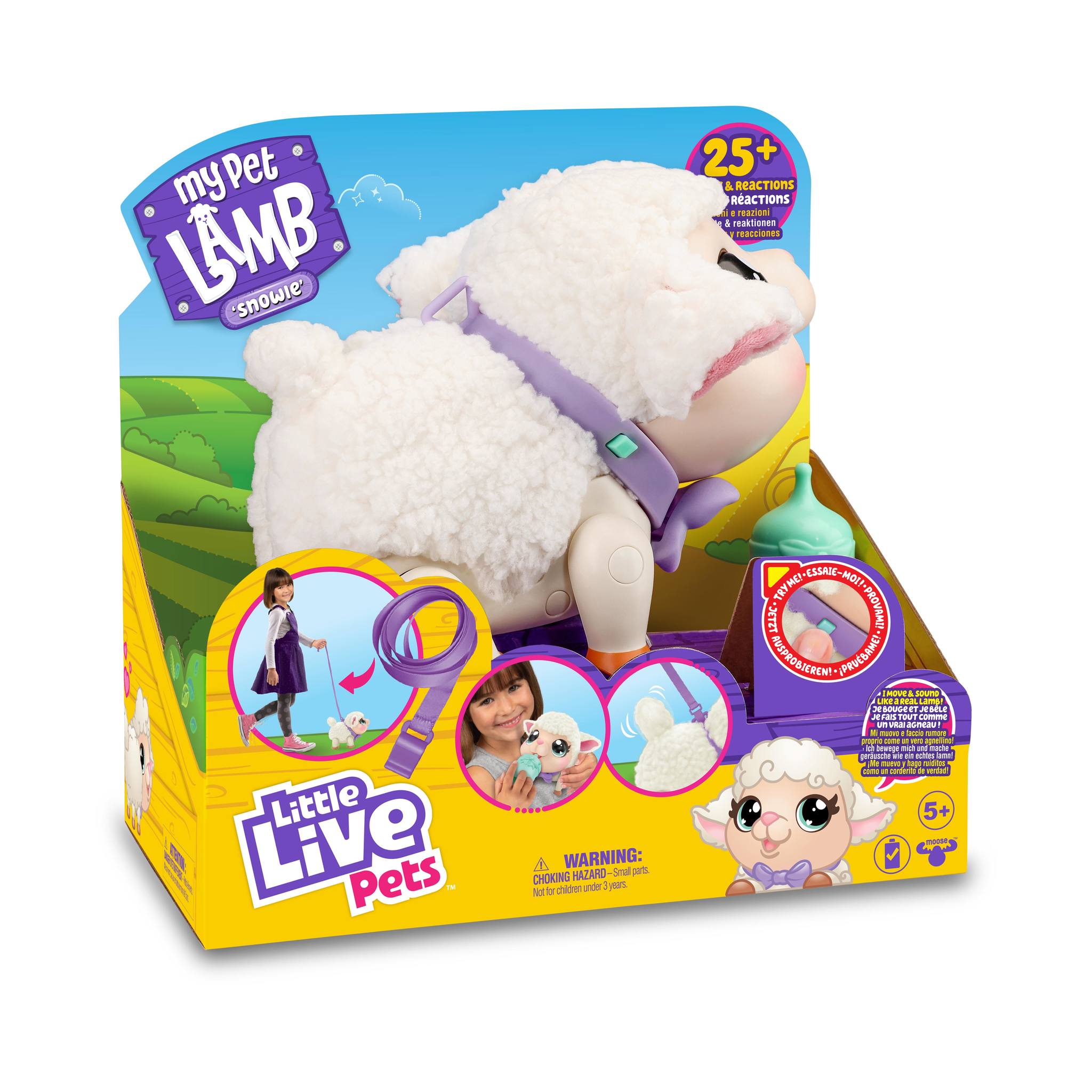 Llp - My Pet Lamb 7