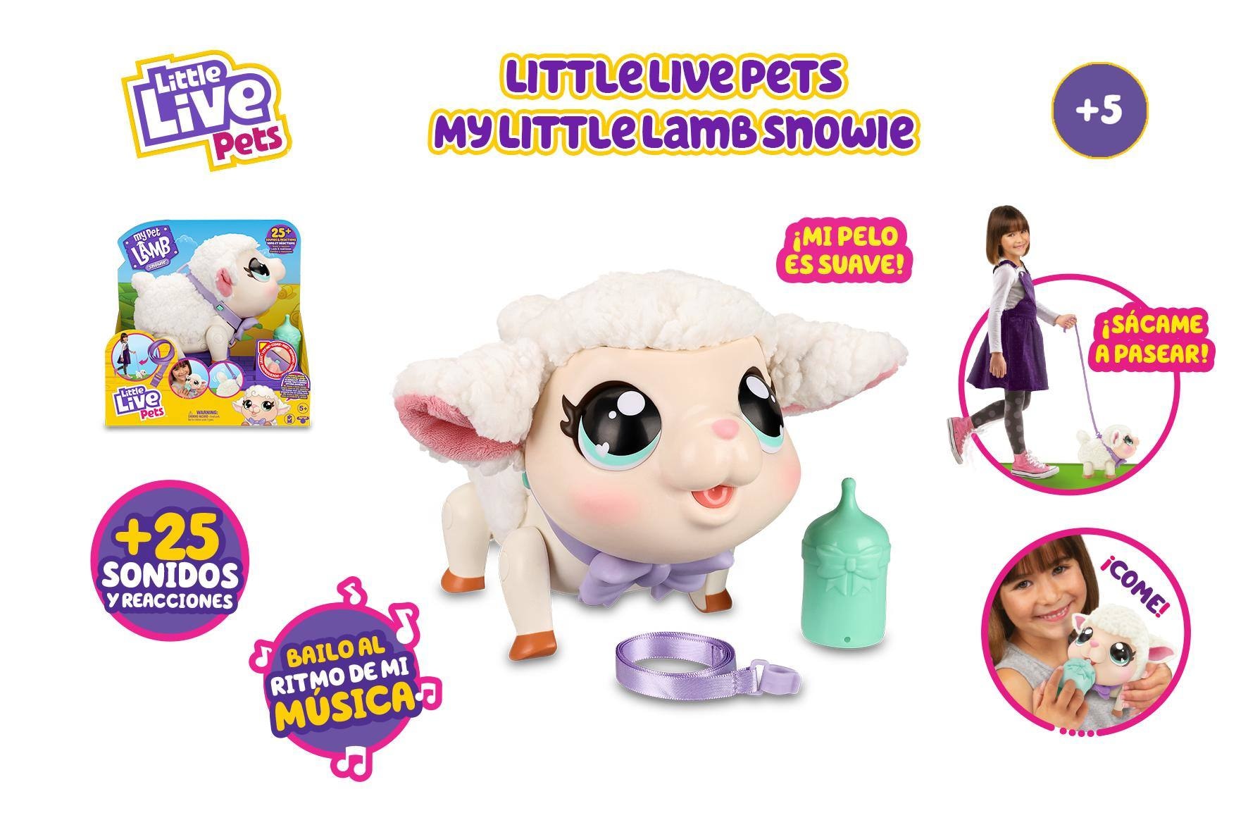 Llp - My Pet Lamb 8