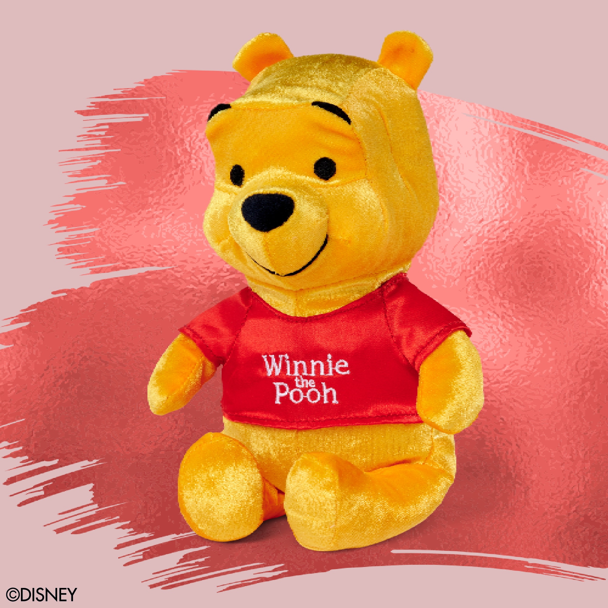 Peluche Winnie the Pooh 9