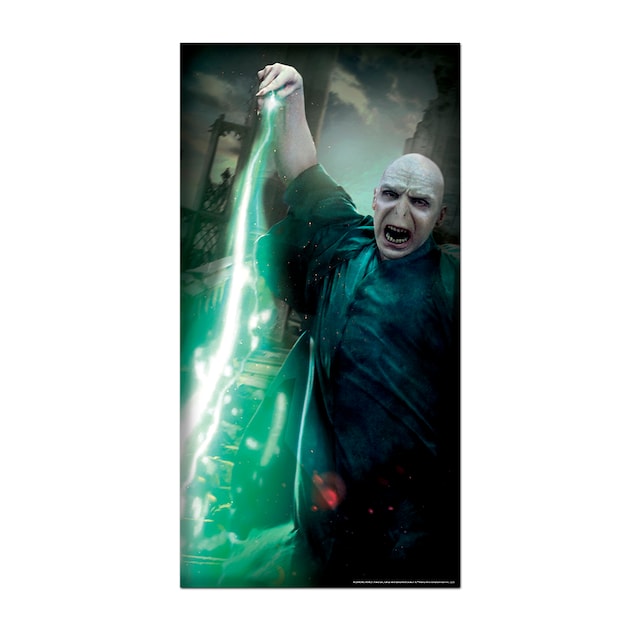 Door Cover Voldemort Rubies