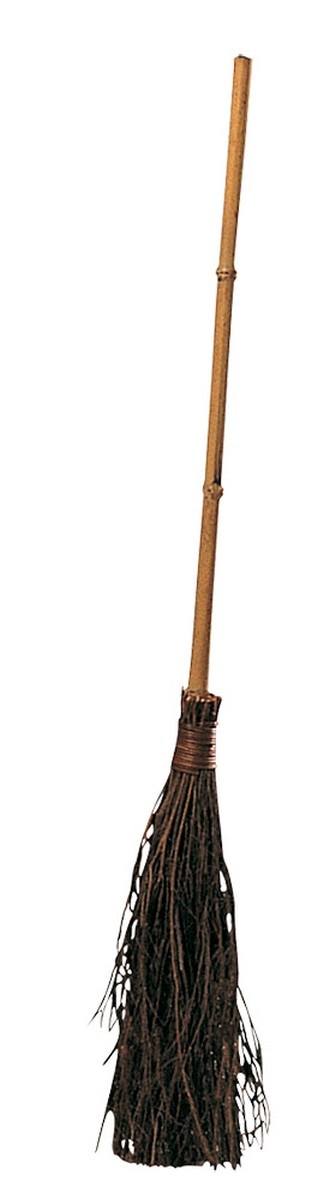 Vassoura de Bruxa 1
