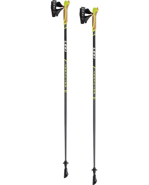 Bastões Nordic Walking Cinzento-1