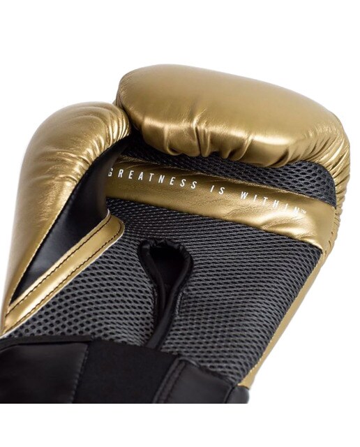 Luvas de Boxe Elite Pro Style Dourado-5