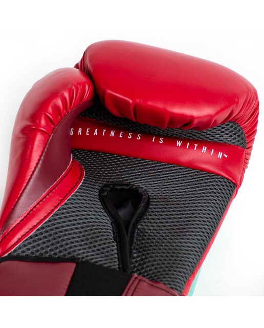 Luvas de Boxe Pro Style Elite 2.0 10 OZ Everlast Vermelho-4