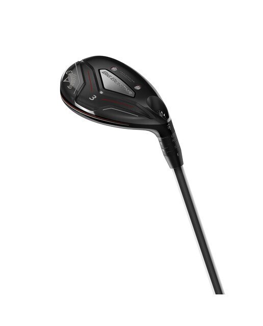 Imagem 0 de Híbrido Big Bertha Lady