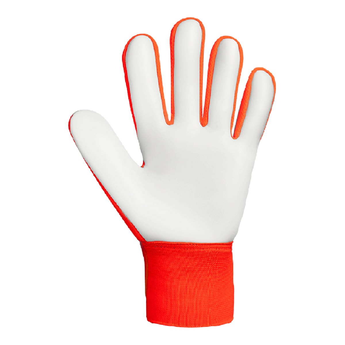 Luvas de Guarda-Redes de Adulto Attrakt Starter Laranja / Azul-2