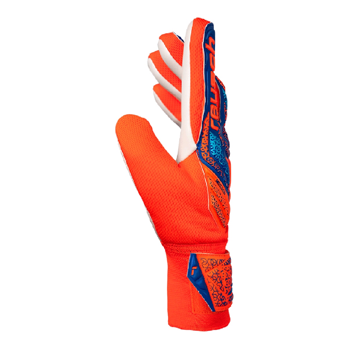 Luvas de Guarda-Redes de Adulto Attrakt Starter Laranja / Azul-3