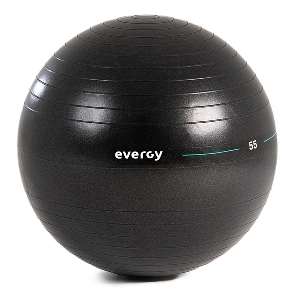 Imagem 0 de Gymball Home - 55 cm