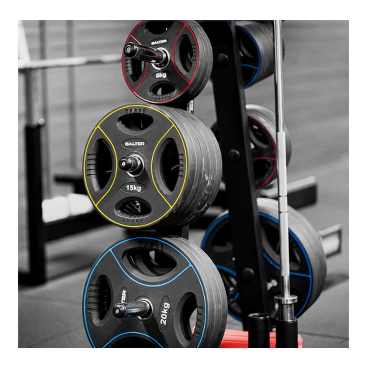 Disco de TPU 50MM 5 kg Salter 4