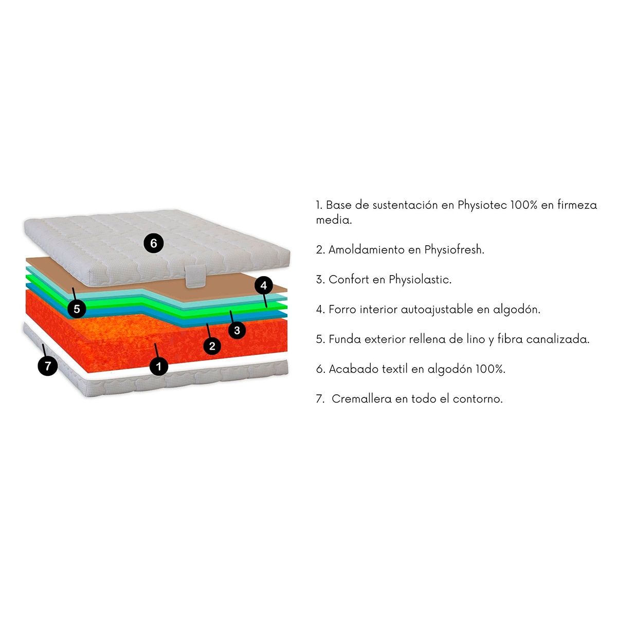 Colchón espumación Physiotec y Physiofresh Format-N Dinoc - Cama 90 x 190 cm 2