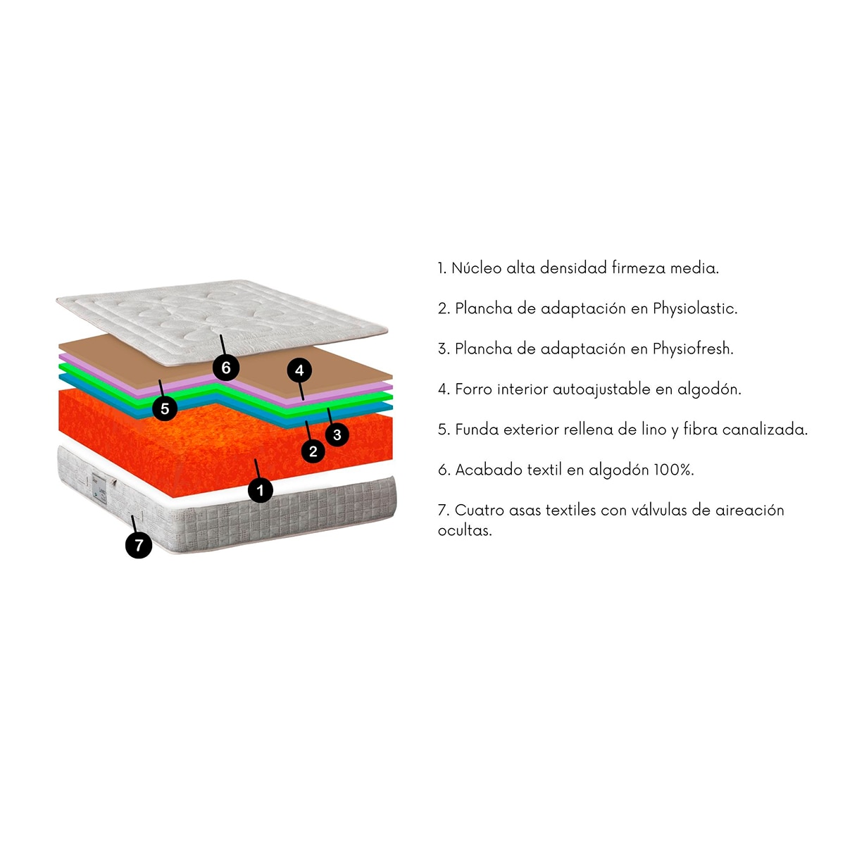 Colchón espumación Physiofresh y Physiolastic Lerez Dinoc - Crema Cama 80 x 190 cm Crema-2