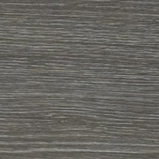 Carvalho Acinzentado