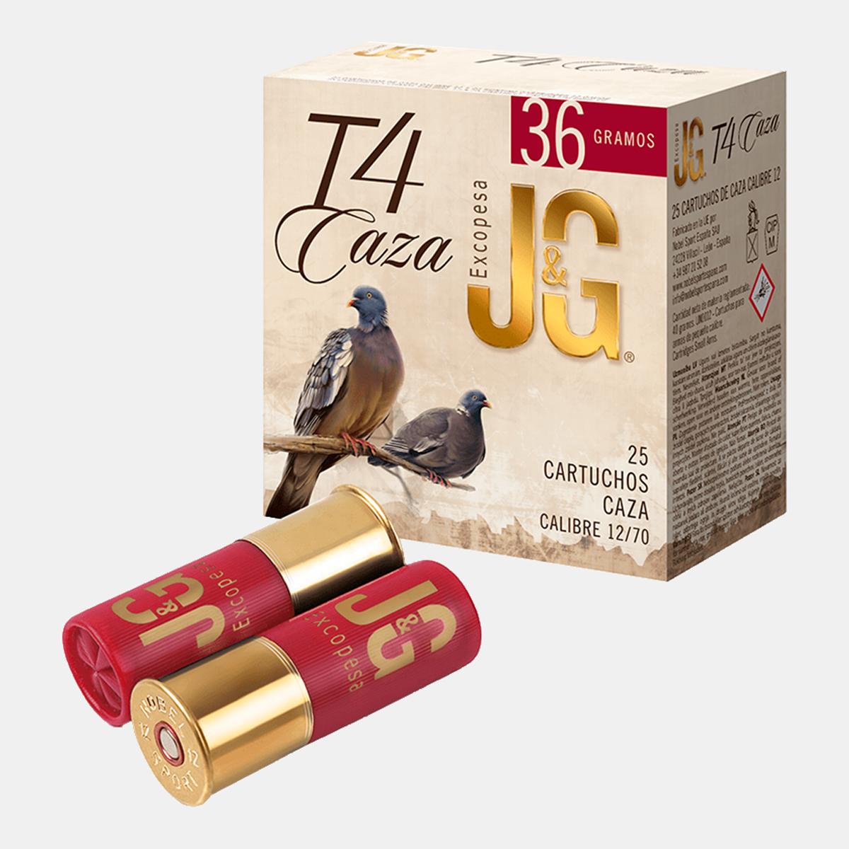 JG t-4 caza 36 gr (7) 1