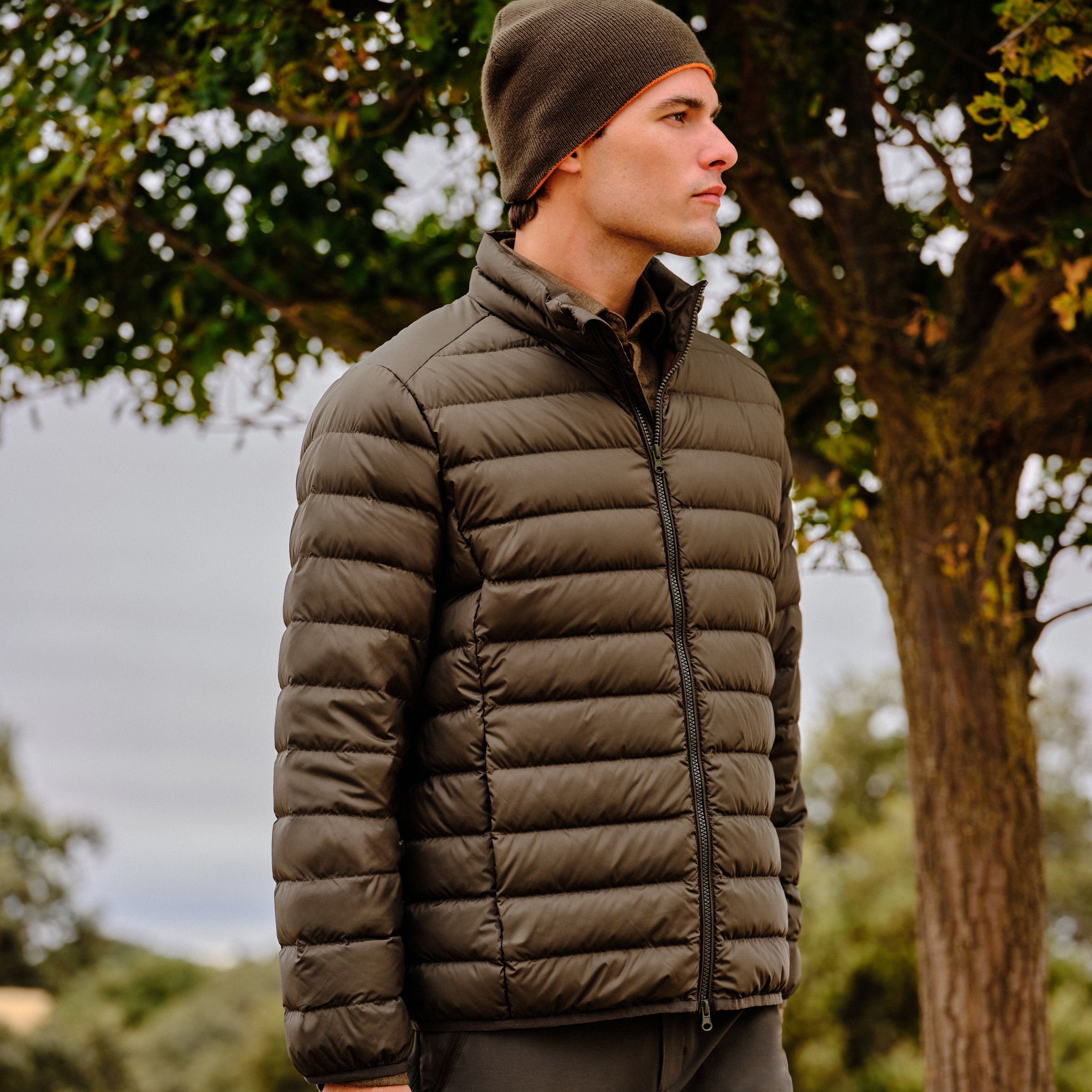 Imagem 0 de Blusão Acolchoado de Homem