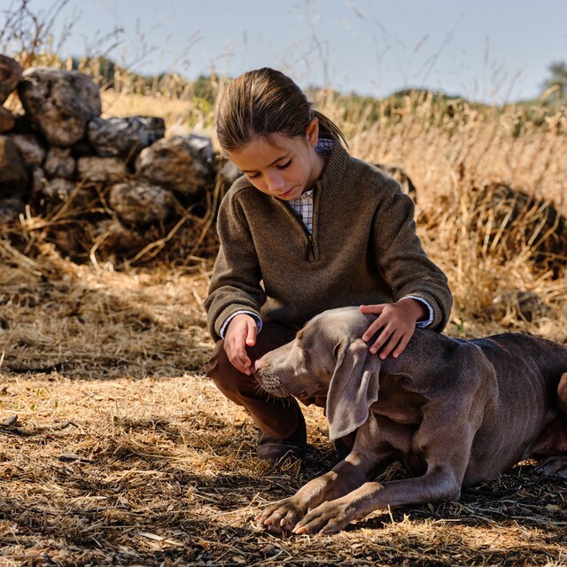 Imagem 0 de Camisola de Malha de Menino com Fecho de Correr Médio