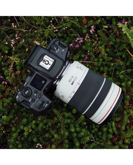 Objetivo Canon RF 70-200MM F4L IS USM para Canon EOS R Negro-4