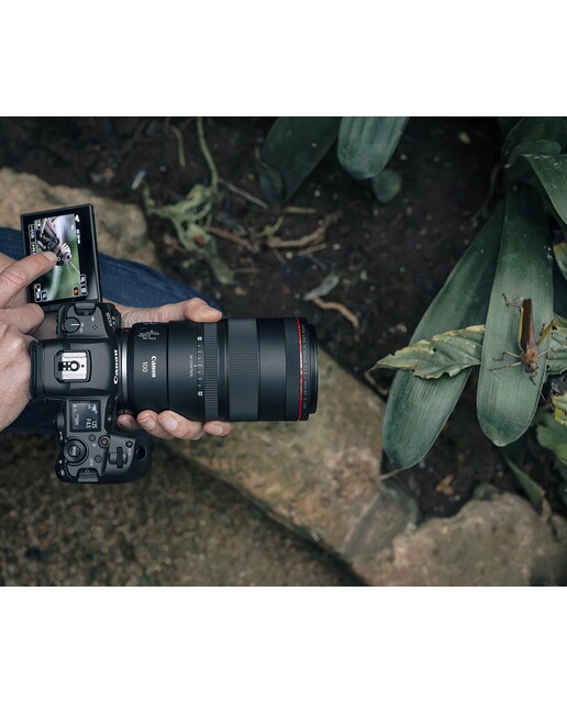 Objetivo Canon RF 100mm F2.8L Macro IS USM para Canon EOS R Negro-3