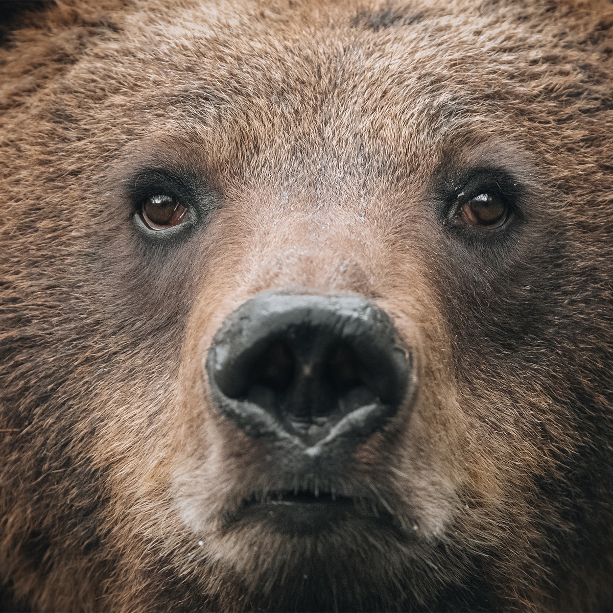 Objetivo Sony FE 100-400mm F4.5 GM OSS. Teleobjetivo full-frame SEL100400MCW. Negro-5