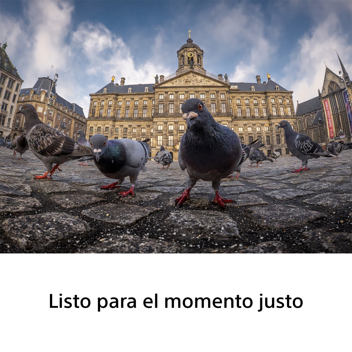 Objetivo Sony FE 8-14mm F3.5 Fisheye G, objetivo full-frame para fotografía de paisajes, urbana, arquitectura, viajes, acción, deportes y gran angular - Negro Negro-11