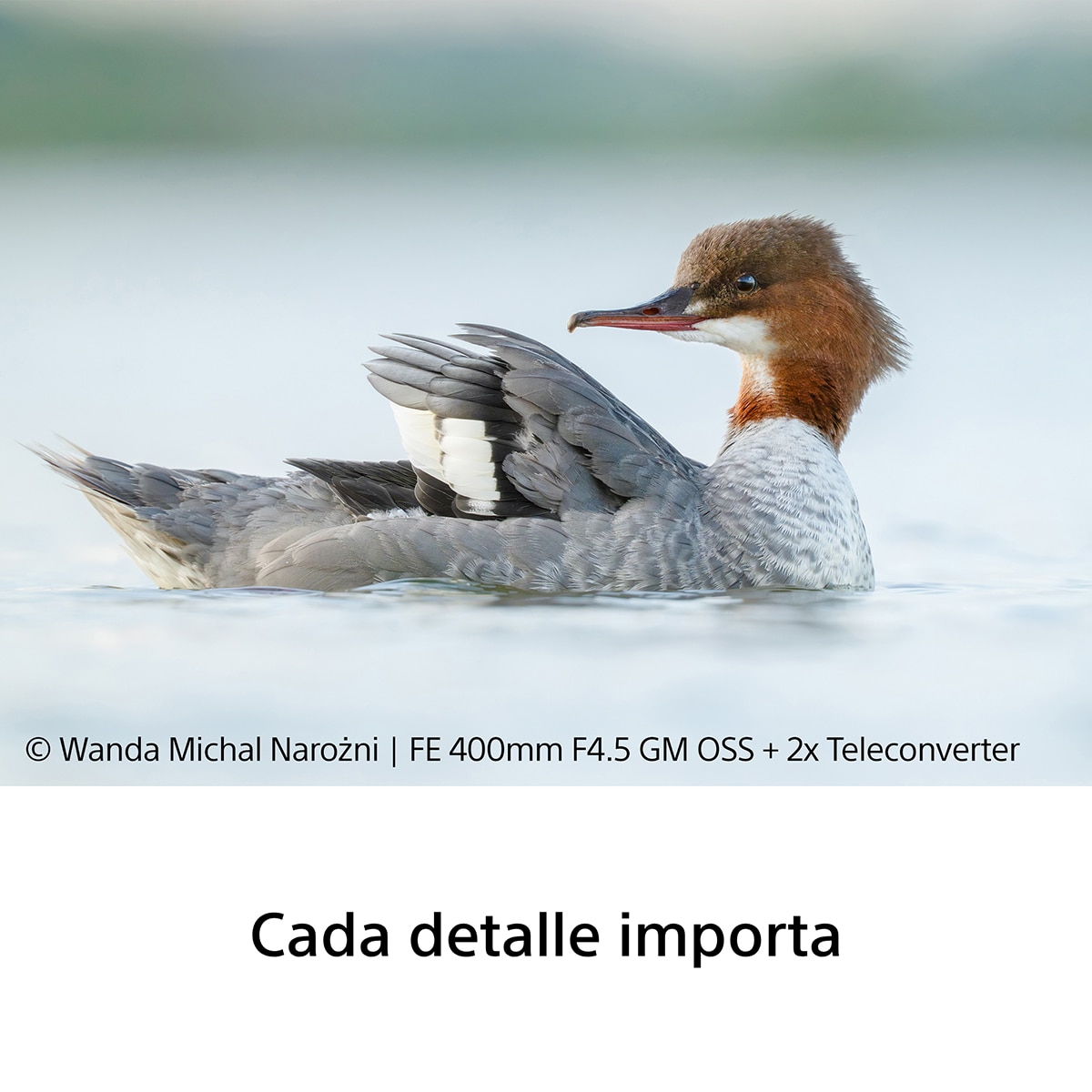 Objetivo Sony FE 400mm F4.5 GM OSS, objetivo full-frame para naturaleza, aves, deportes, acción y sujetos rápidos - Blanco Blanco-6