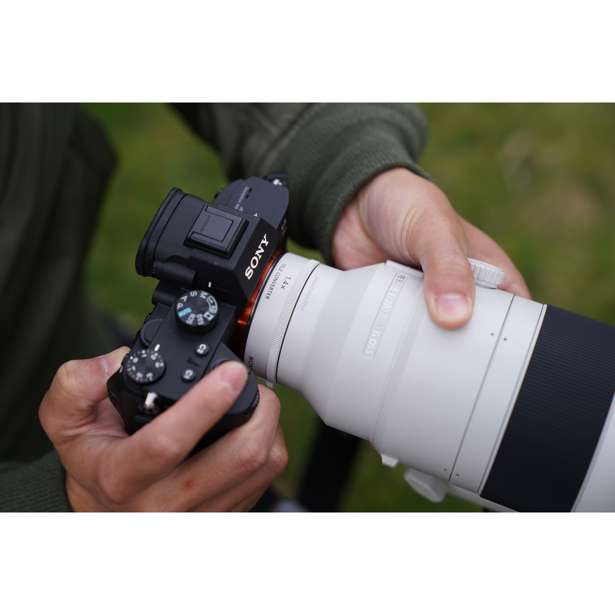 Objetivo Sony FE 200-600mm F5.6-6.3 G OSS SEL200600G 7