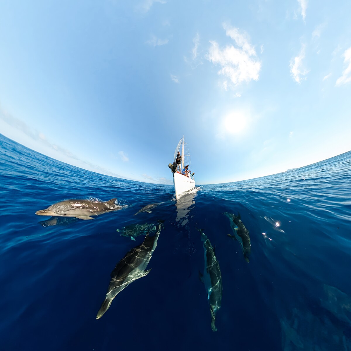 Cámara deportiva 360º GoPro Max (2025) Negro-10