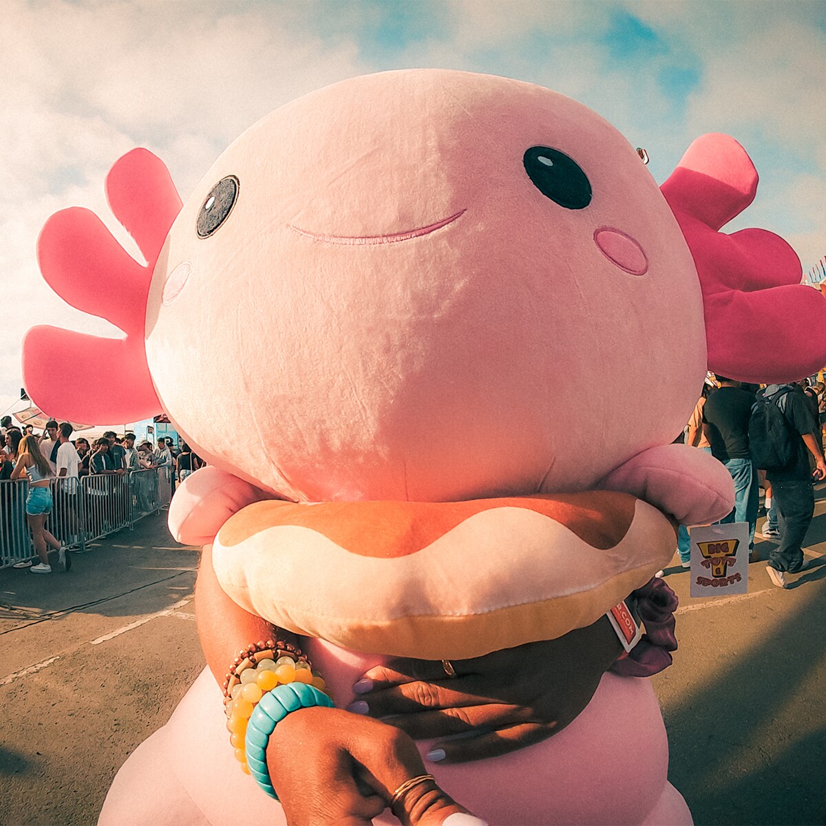 Cámara deportiva GoPro LIT HERO 9