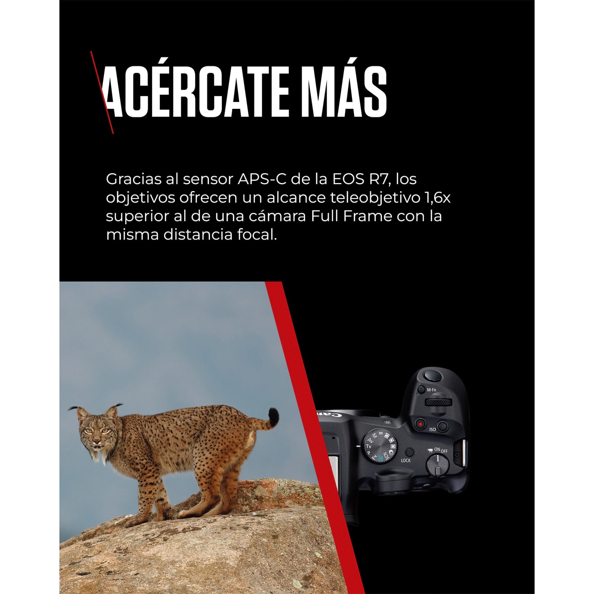 Câmara Mirrorless Canon EOS R7 (Corpo) Preto-8