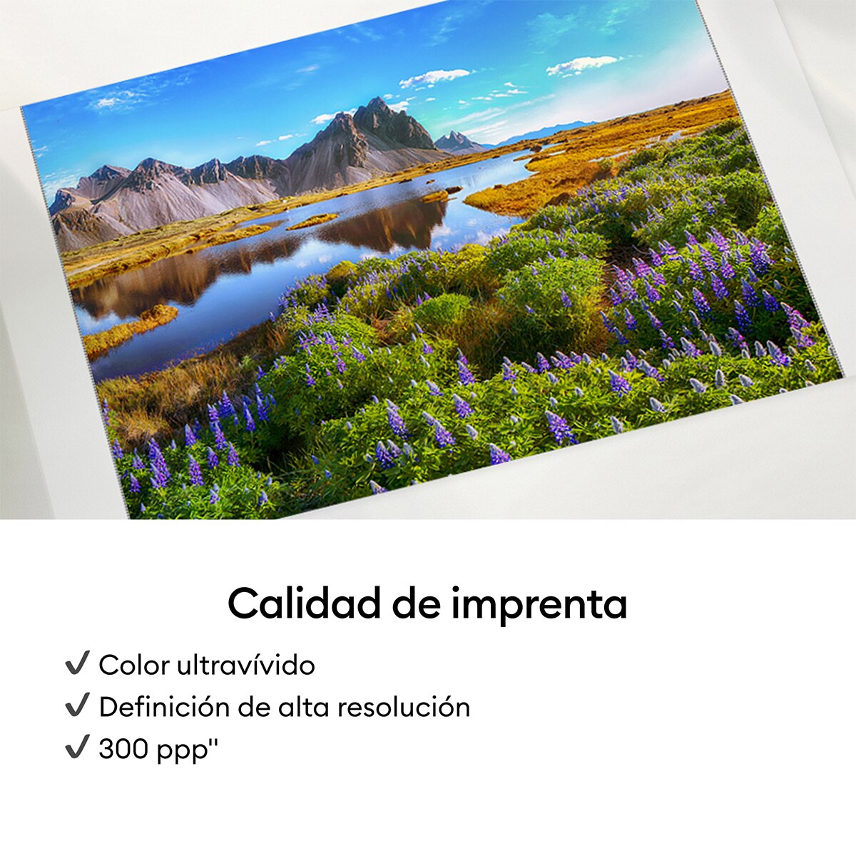 Impresora fotográfica Cricut StickerPix Essential Bundle Azul-7