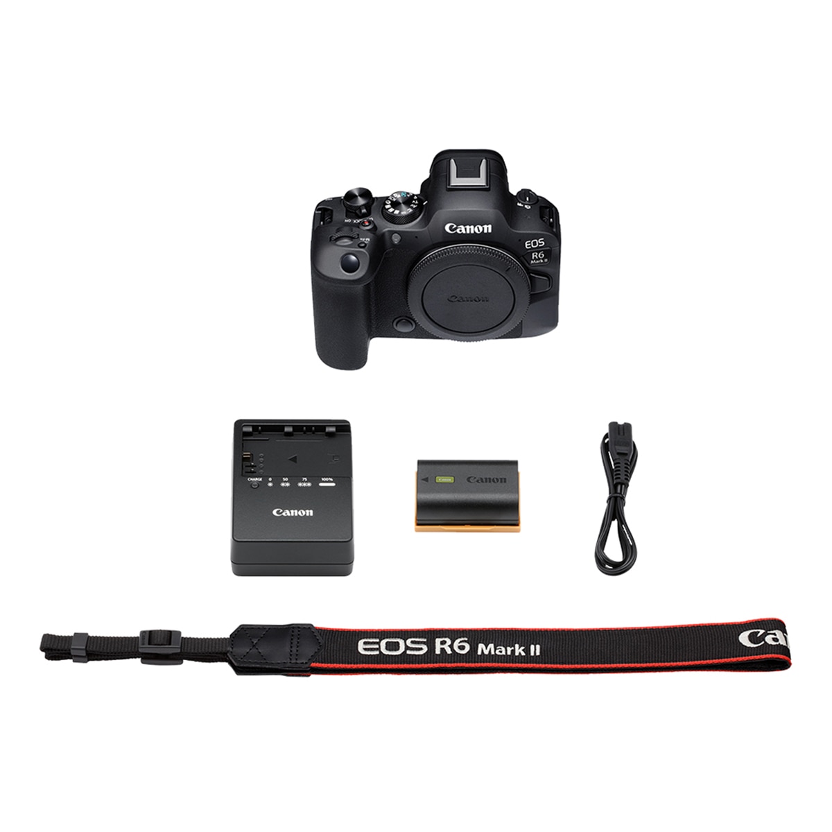 Câmara Evil Canon EOS R6 Mark II (Corpo) Preto-4