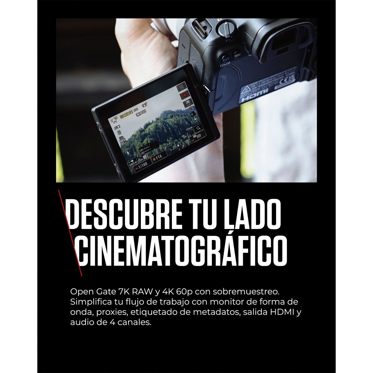 Cámara Evil Canon Eos R6 Mark III Cuerpo Negro-6