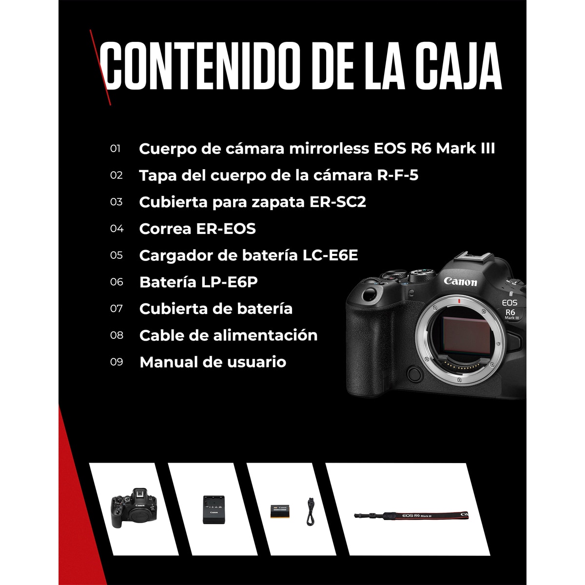 Câmara Evil Canon Eos R6 Mark III Corpo Preto-10