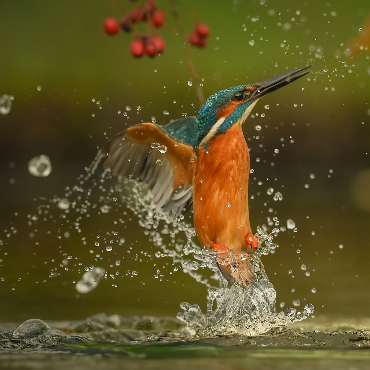 Sony Alpha 7M5 cámara mirrorless full-frame cuerpo con 33 MP, autoenfoque por inteligencia artificial y cámara de vídeo 4K 120p Negro-10