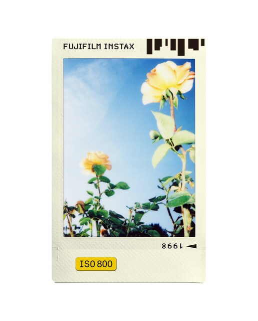 Película instantánea instax mini Photo Slide (10 hojas) 3