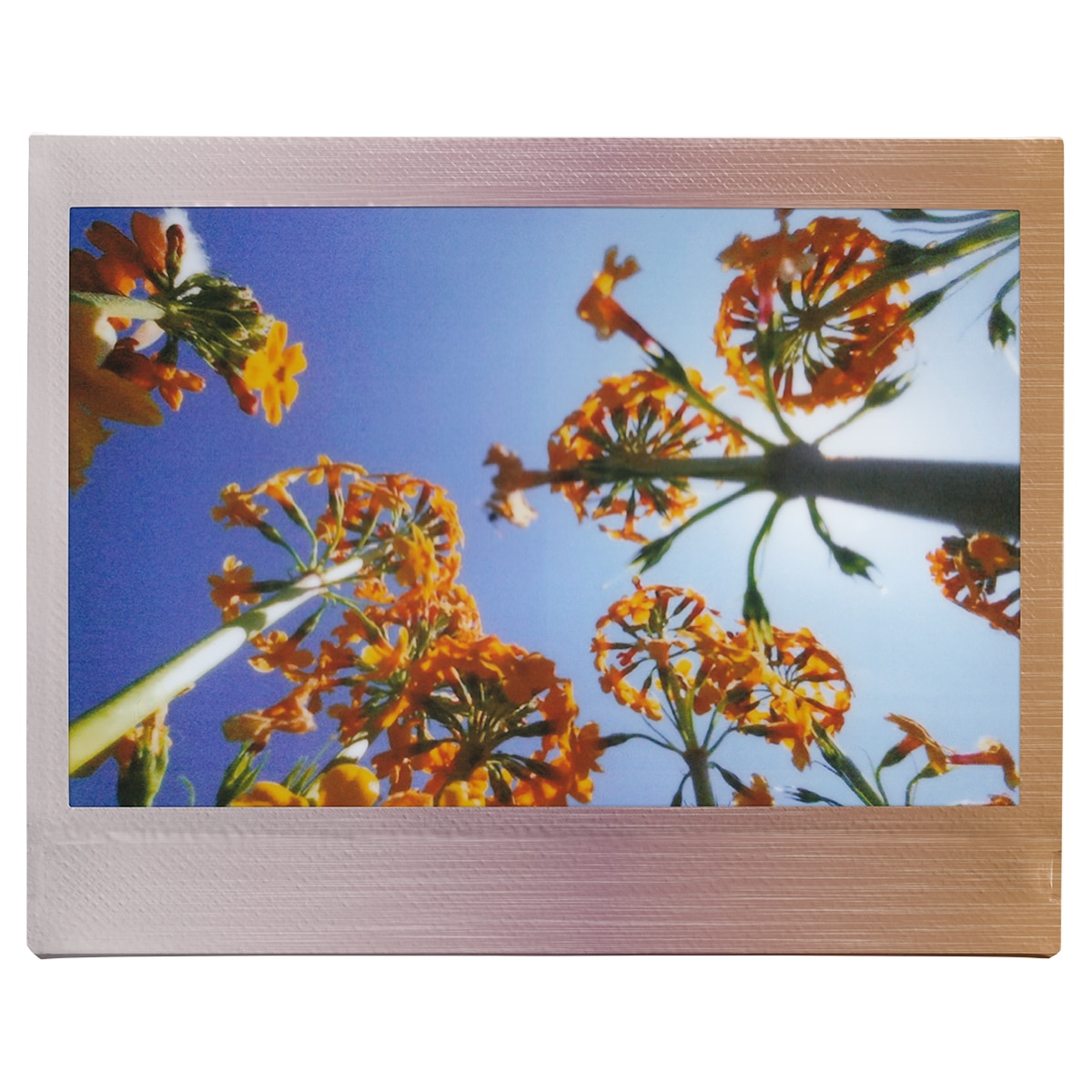 Película instantánea instax WIDE Brushed Metallics 10 fotos 8