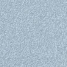 Frost Blue