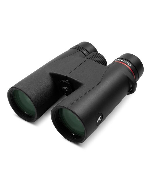 Prismáticos Kite Optics Petrel 10x42 Negro-3